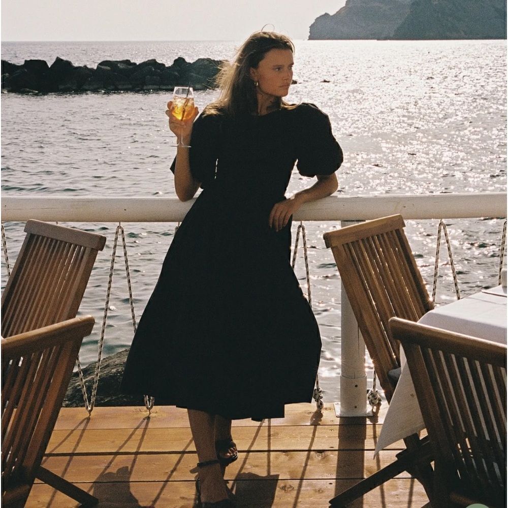 NWT TROVATA BIRDS OF PARADIS DAPHNE DRESS BLACK Small